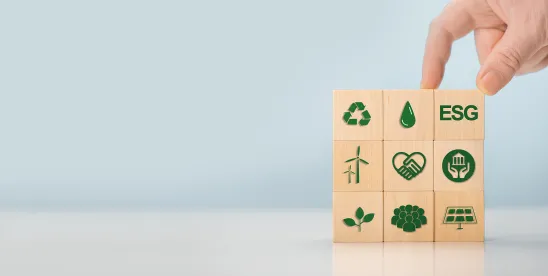 ESG standards for corporate directors and managers