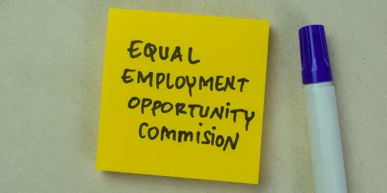 EEOC EEO 1 Component 2 pay data dashboard
