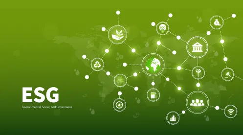Environmental and social governance principles for companies