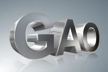 Key Takeaways from GAO's 31 Published BID Protest Decisions in January 2024
