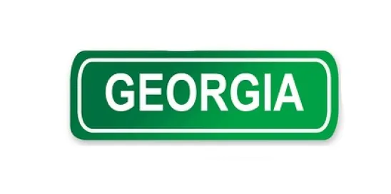 Georgia General Assembly Day 33 on Education and Safety
