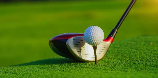 BIRDIE Act Golf Course Design Protection