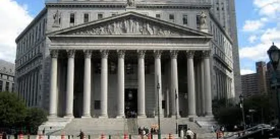 New York Supreme Court taxable information services