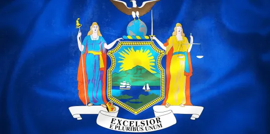 New York ALJ Rejection 