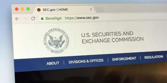 SEC Boilerplate Risk Factors