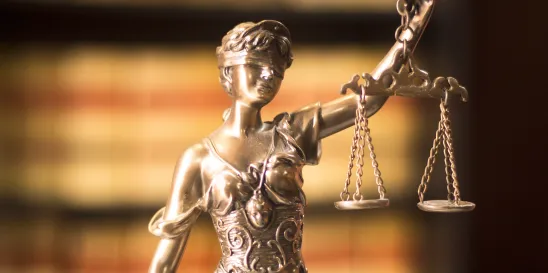 pros and cons of buying legal leads
