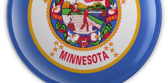 Minnesota HF 4206 Health Care Providers Private Equity