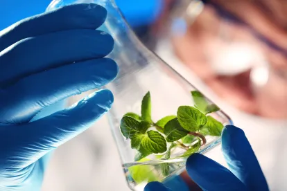 Report on Regulation of Gene Edited Plants