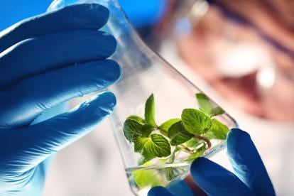 Report on Regulation of Gene Edited Plants