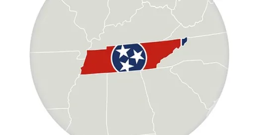 Tennessee Artificial Intelligence Likeness Protection
