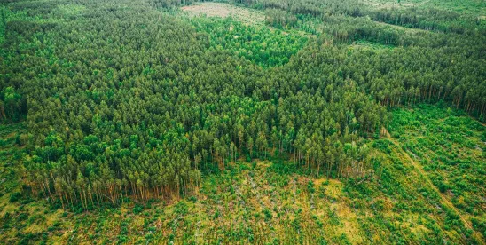 Regulatory approaches to climate change policies