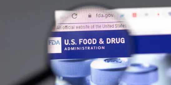 FDA NDIN Master Files Draft Guidance