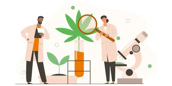 Missouri Supreme Court Mo Cann Do Medical Marijuana Denial