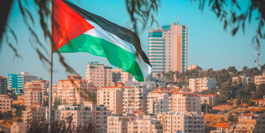 USCIS Authorization Procedures for Palestinians