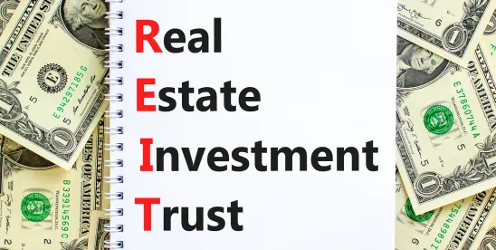 IRS pipeline ruling in favor of real estate investment trusts REITs
