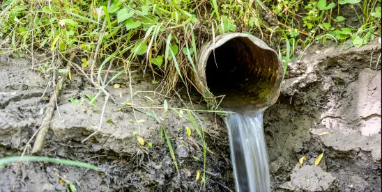 San Francisco NPDES case to be reviewed by US Supreme Court