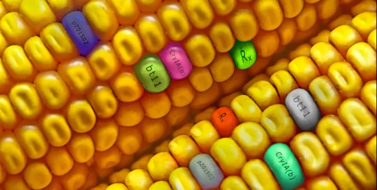 Bioengineered Food Disclosure