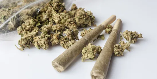 4/20 is a holiday about weed