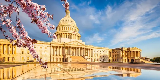 Washington DC in the Spring is beautiful