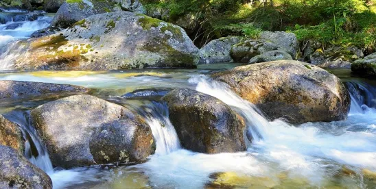 House Subcommittee Holds EPA Budget Request Hearing