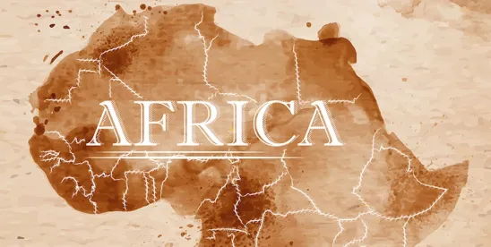 African Infrastructure Projects Inflation Rate Turmoil