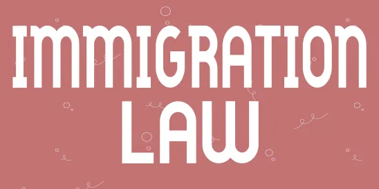 USCIS immigration strategy