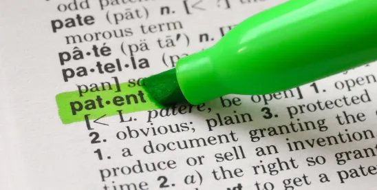 USPTO guides on definition of means 