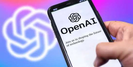 Potential Practical and Legal Issues with Artificial Intelligence
