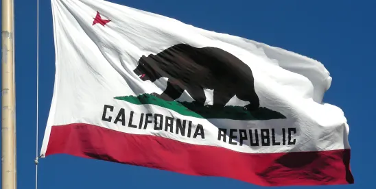 LA Superior Court rules Charter Cities not subject to SB 9