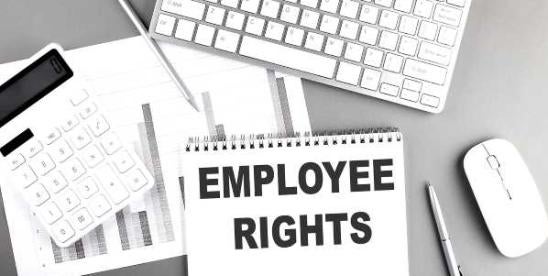 NJ Ruling on Employment Discrimination