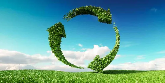 environmental law updates May 2024
