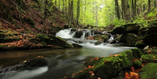 Environmental Protection Agency EPA rivers, lakes, and water rights