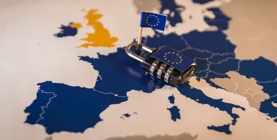 Europe Parliament Corporate Sustainability Due Diligence Directive