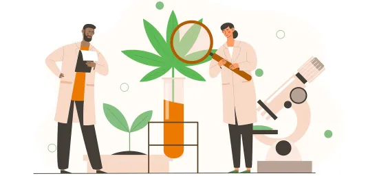opening a medical marijuana dispensary in Pennsylvania