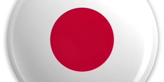 Japan Fund Manager Supervisory Guidelines