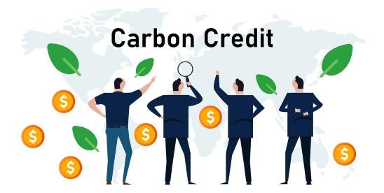 Statement of Principles Concerning Carbon Credits from Treasury