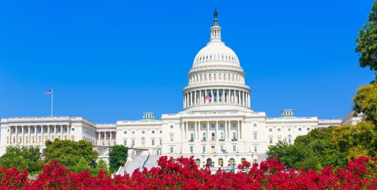 the rose garden and the capitol