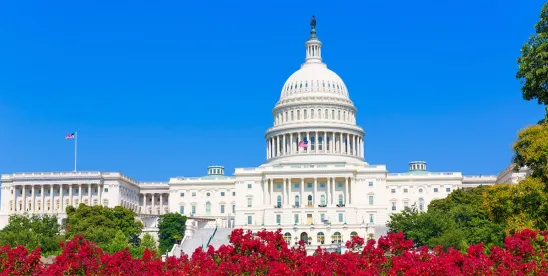 Washington DC in the Spring
