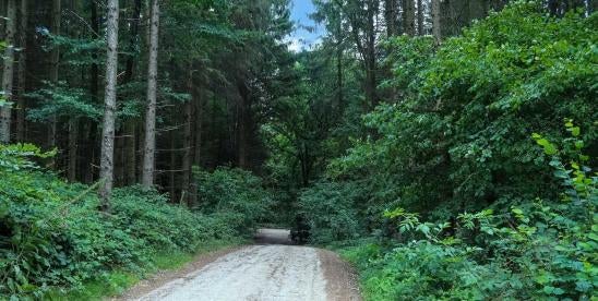 District court rules in wilderness therapy insurance lawsuit