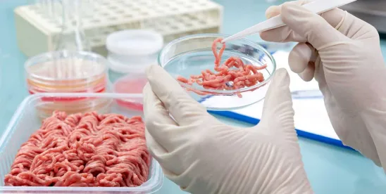 Regulatory Plan for Biotechnology