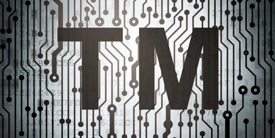 Ninth circuits affirms trademark application cancellation