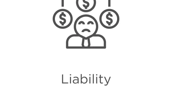 Liability in Nevada
