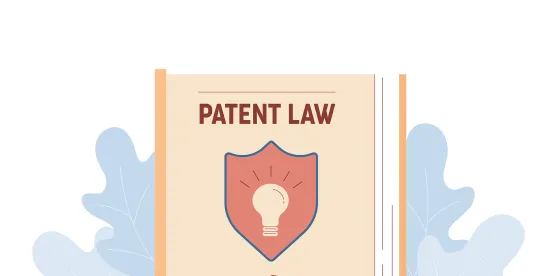 printed matter doctrine in IOEngine, LLC v. Ingenico Inc.