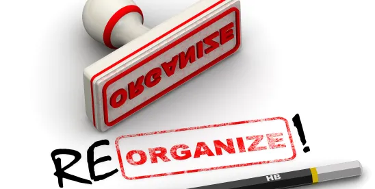 bankruptcy reorganization subchapter v true up