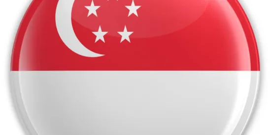 Singapore Data Corporate Disclosures