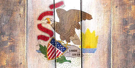 Illinois slogan and flag graphic