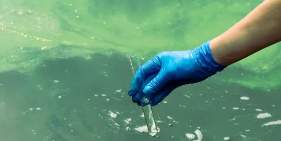 EPA on Water Quality Standards