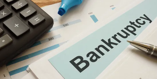 Bankruptcy alert for Chapter 7 and 11 filings