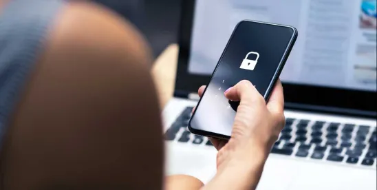 Minnesota Passes Data Privacy Law