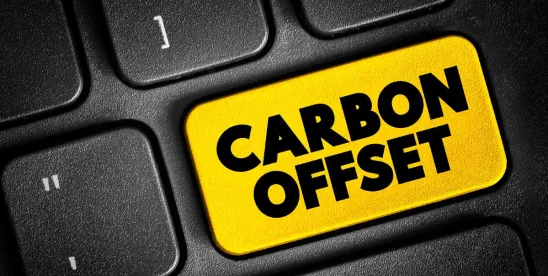Voluntary Carbon Markets Principles from Biden Administration